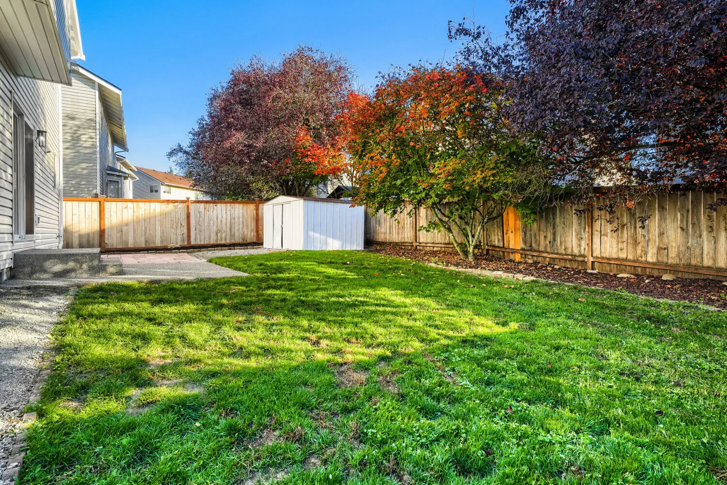 Back yard with storage shed and mature maple